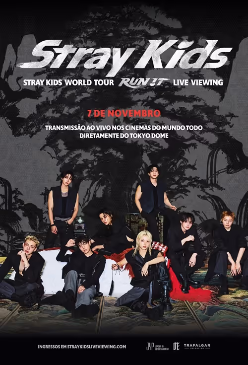 Stray Kids World Tour Live Viewing